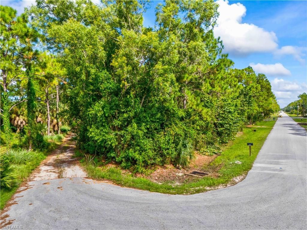 25650 Luci Dr , Bonita Springs, FL 34135 Photo