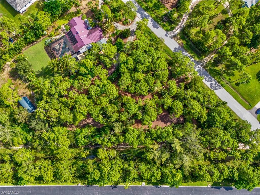 25650 Luci Dr , Bonita Springs, FL 34135 Photo