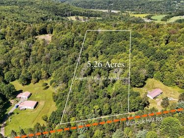 0 Bullock Hill Road, Walton, NY 13839