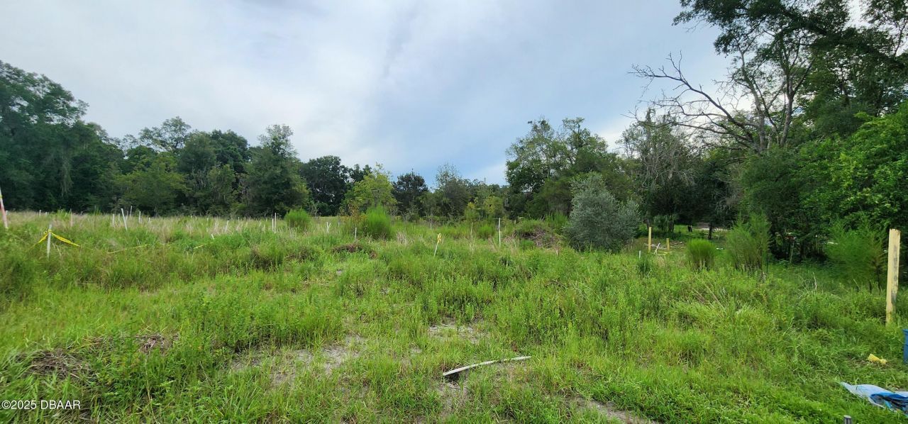 711 Sunset Avenue, Orange City, FL 32763 Photo