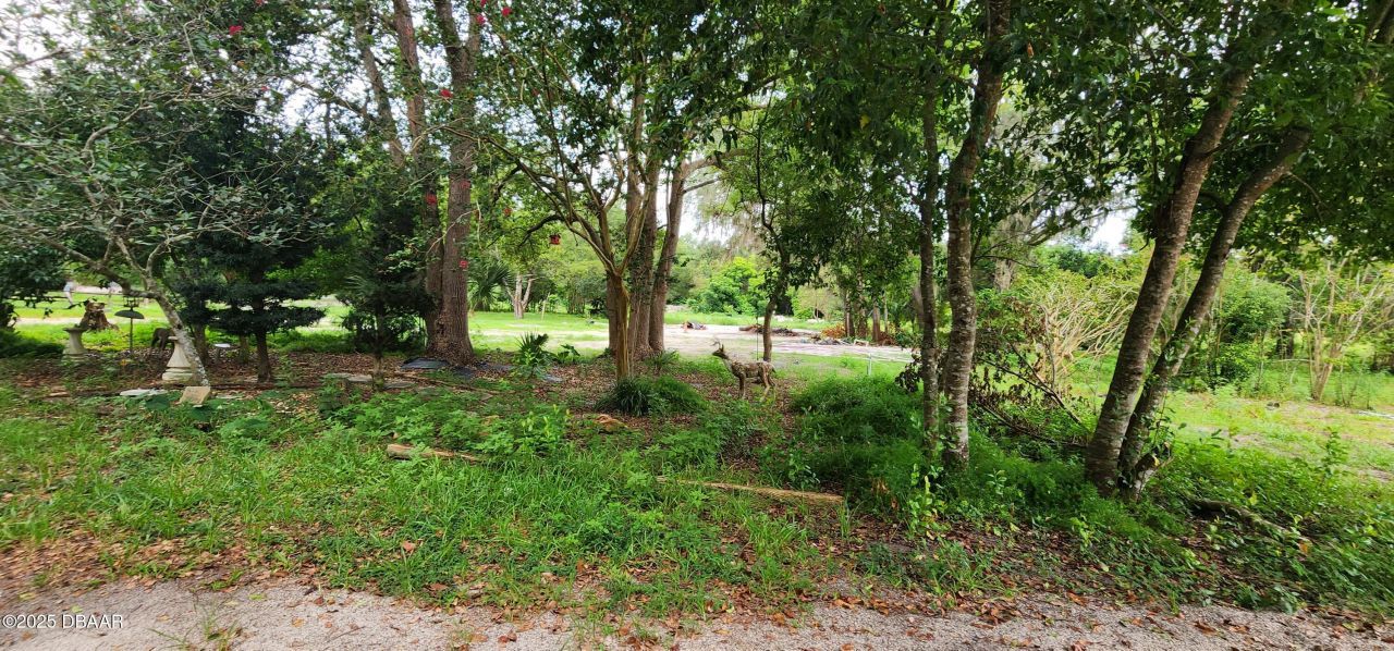 711 Sunset Avenue, Orange City, FL 32763 Photo