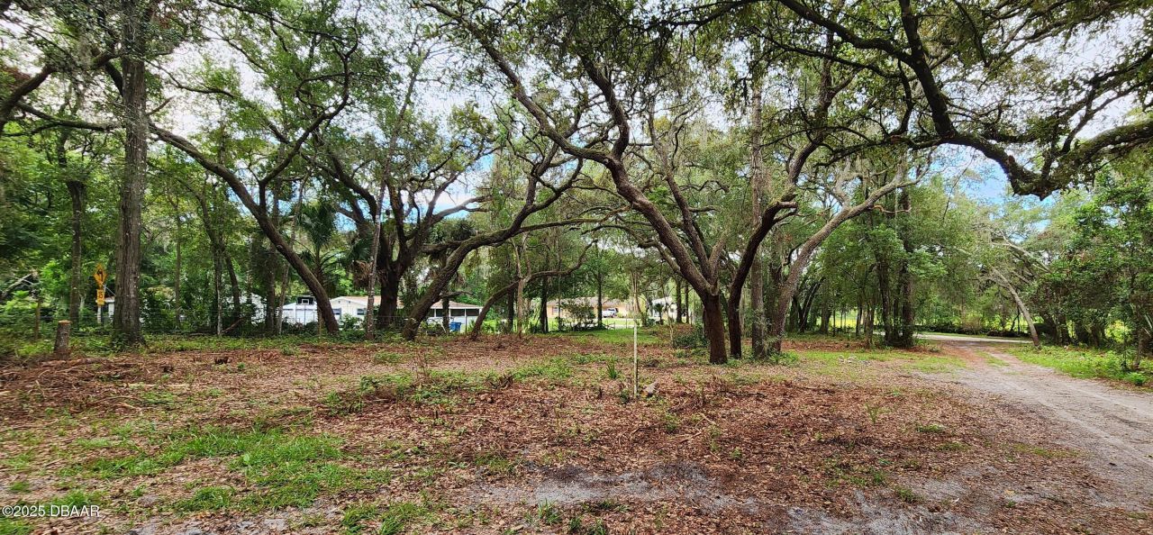 711 Sunset Avenue, Orange City, FL 32763 Photo