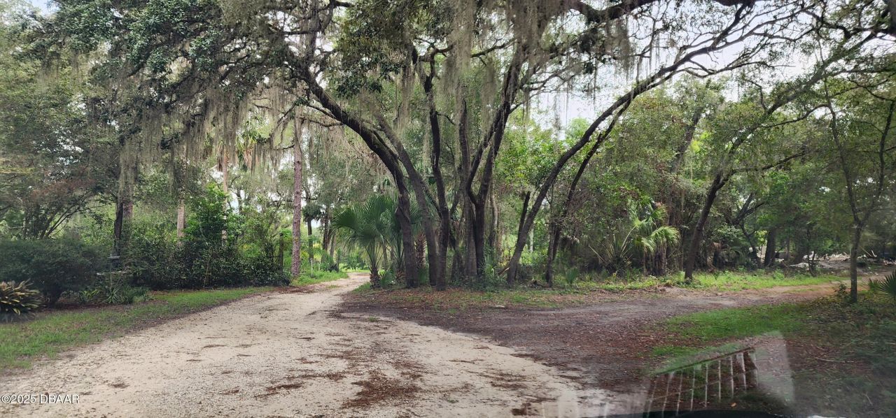 711 Sunset Avenue, Orange City, FL 32763 Photo