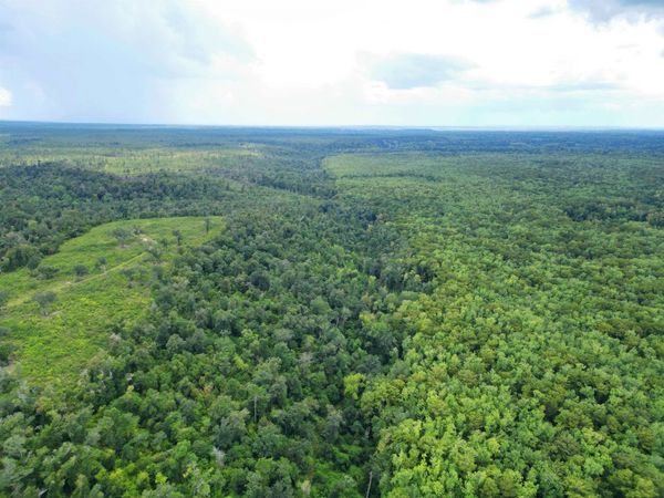 XXX NW Longleaf, Bristol, FL 32321