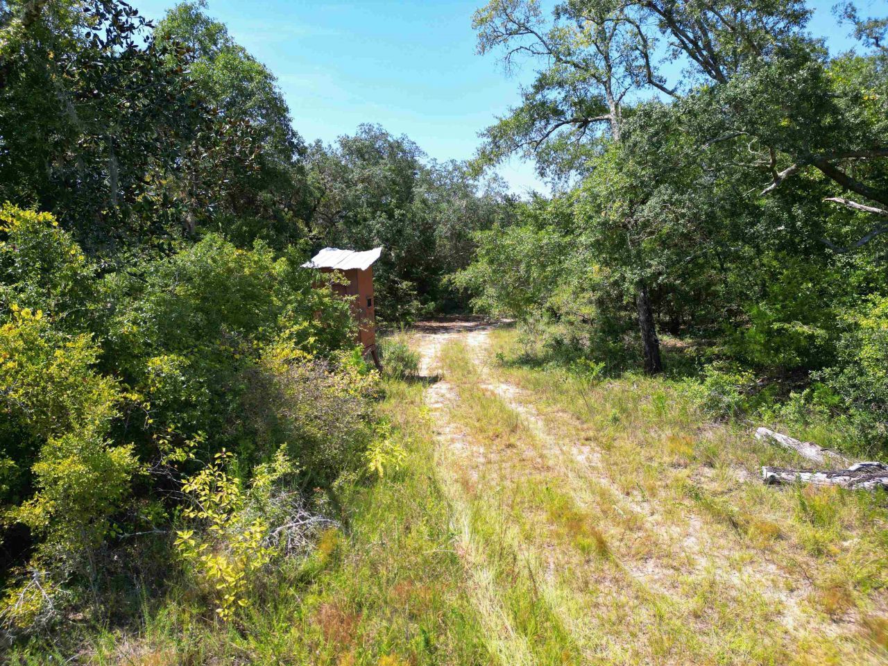 Xxx NW Longleaf, Bristol, FL 32321 Photo