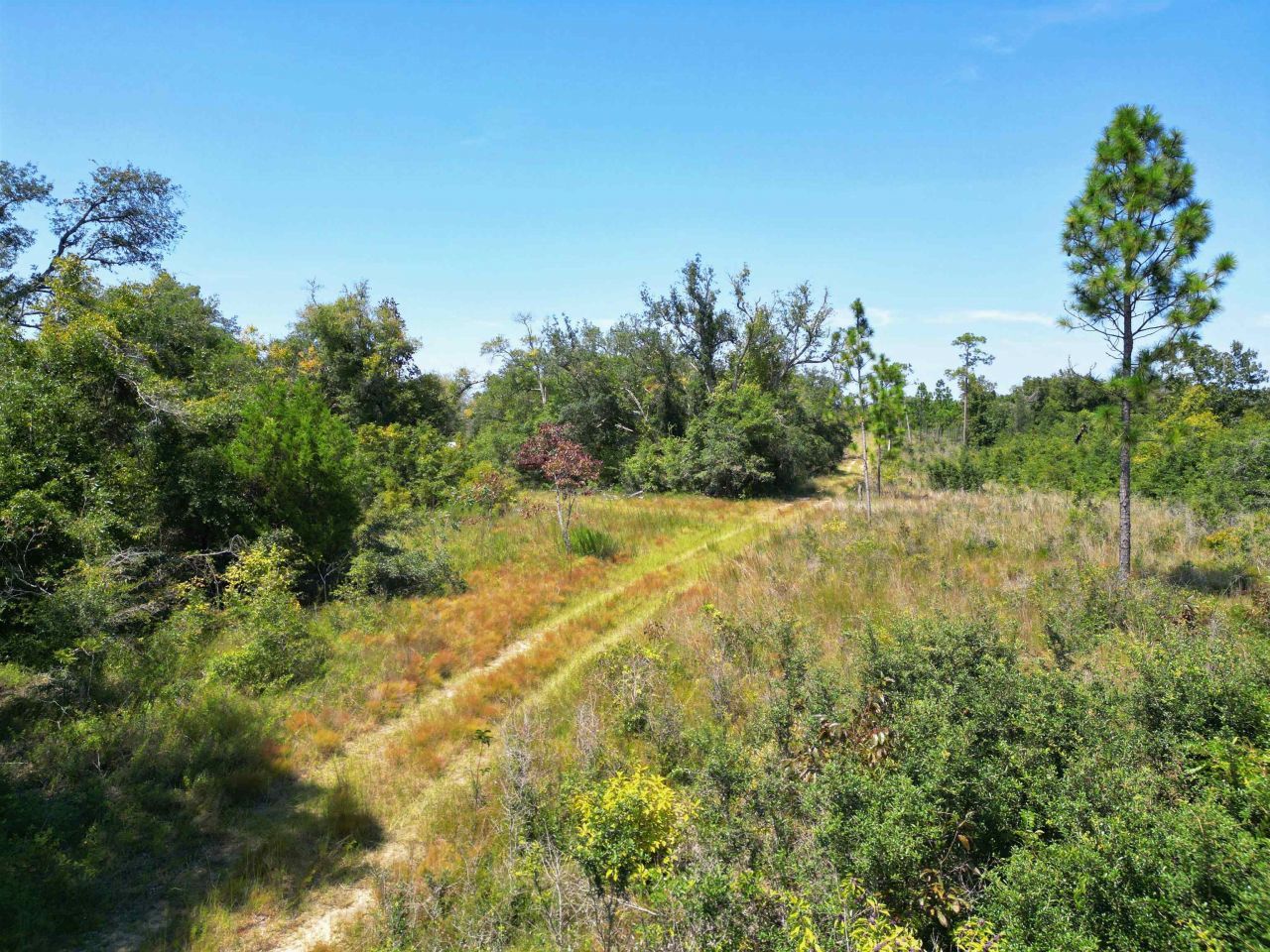 Xxx NW Longleaf, Bristol, FL 32321 Photo