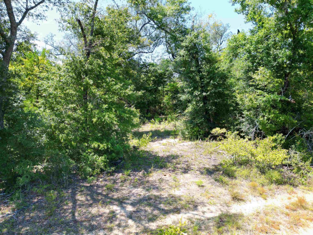 Xxx NW Longleaf, Bristol, FL 32321 Photo