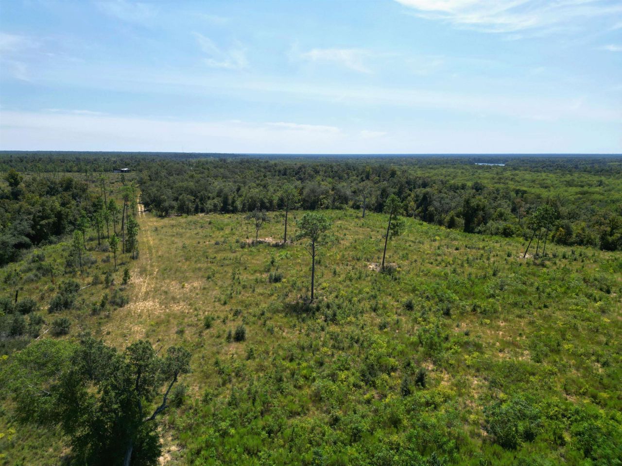 Xxx NW Longleaf, Bristol, FL 32321 Photo