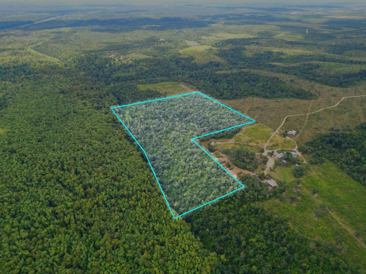 Xxx NW Longleaf, Bristol, FL 32321 Photo