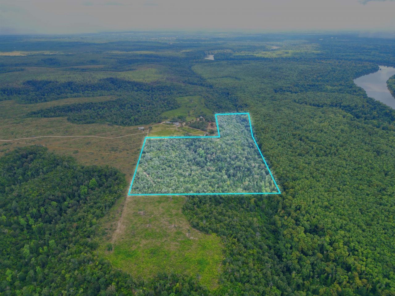 Xxx NW Longleaf, Bristol, FL 32321 Photo