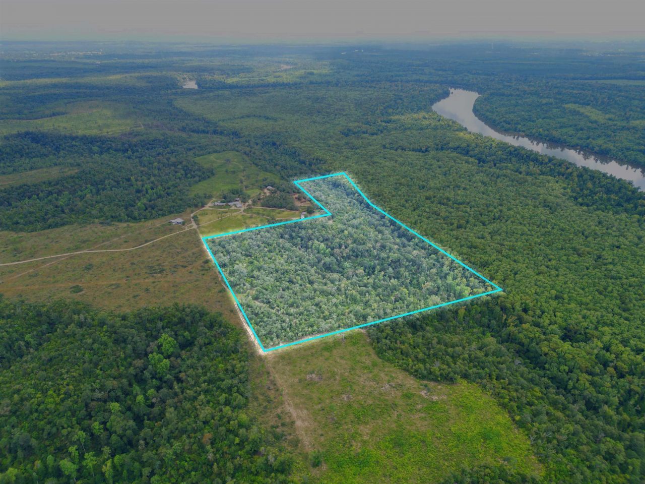 Xxx NW Longleaf, Bristol, FL 32321 Photo
