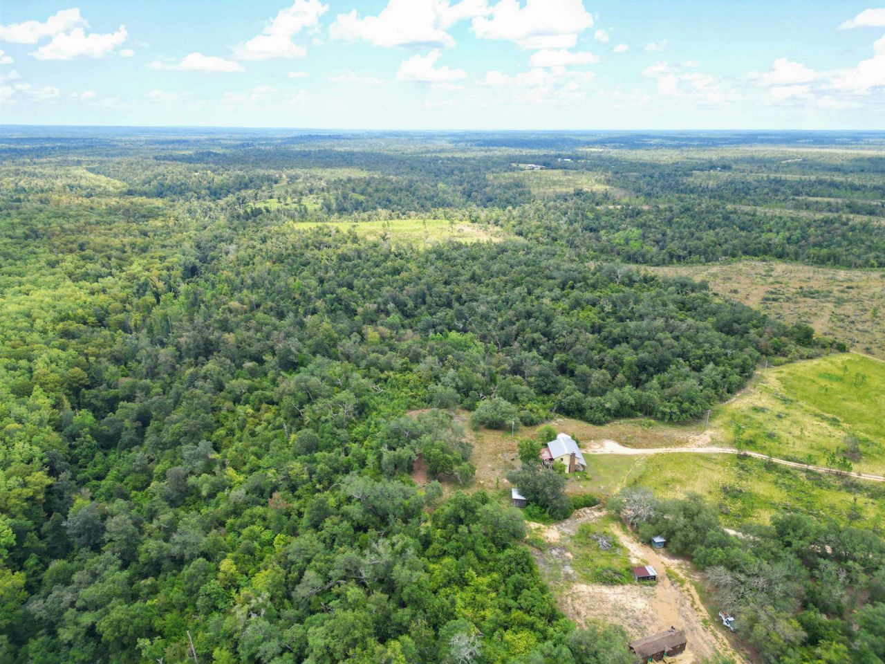 Xxx NW Longleaf, Bristol, FL 32321 Photo