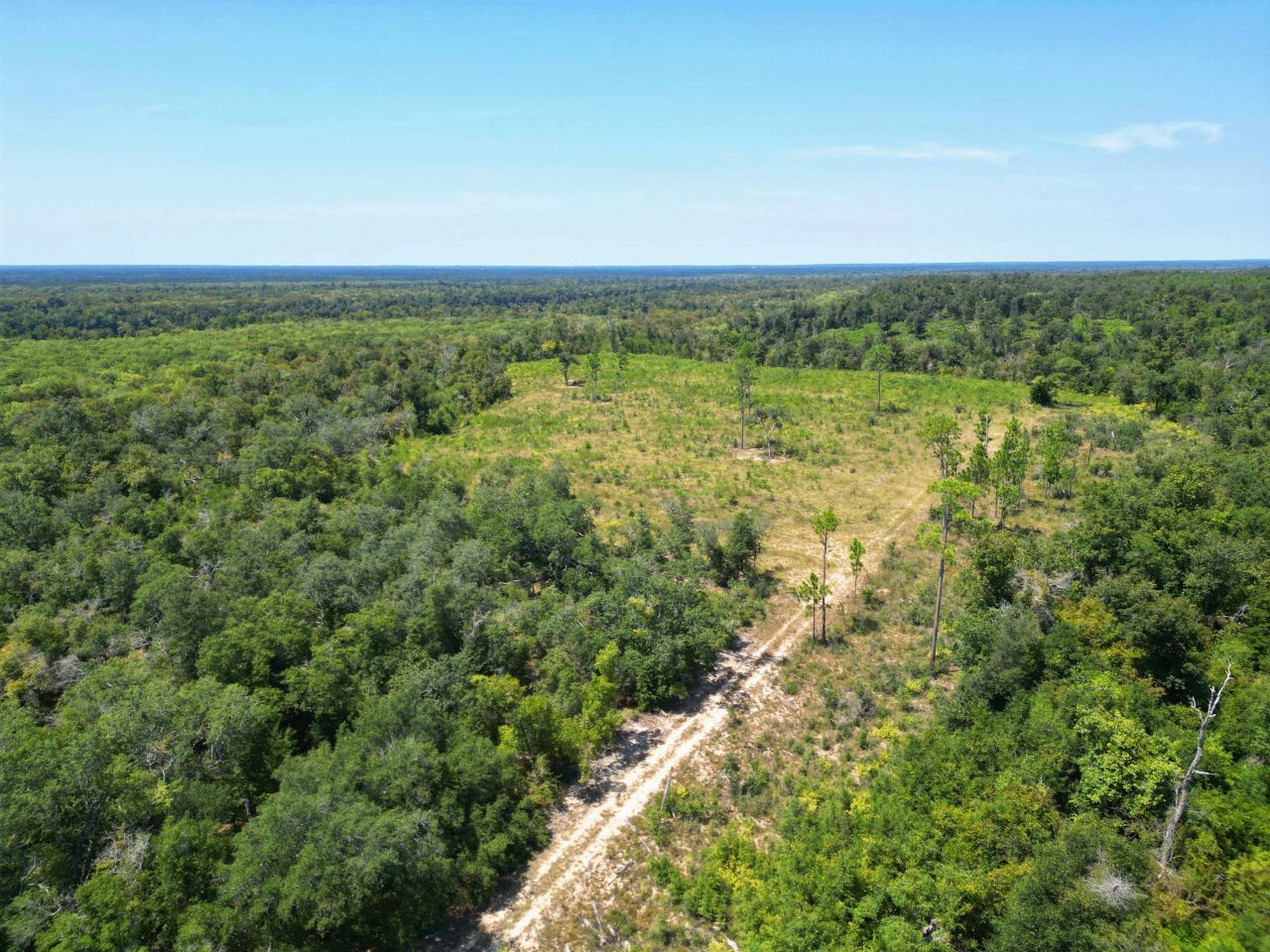 Xxx NW Longleaf, Bristol, FL 32321 Photo