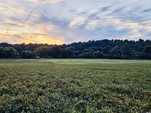 207 CR 478, Rector, AR 72461