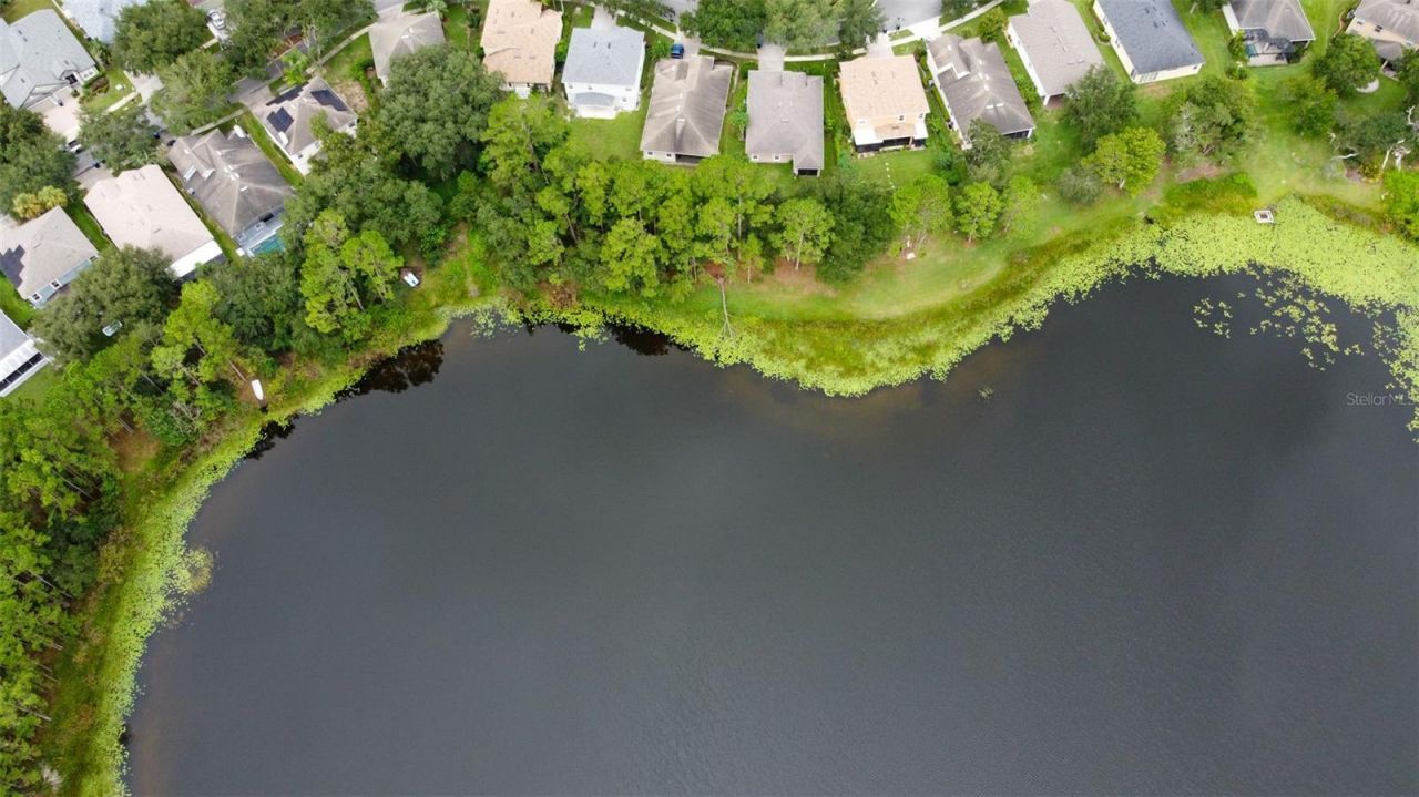 3341 Lake Jean Drive, Orlando, FL 32817 Photo