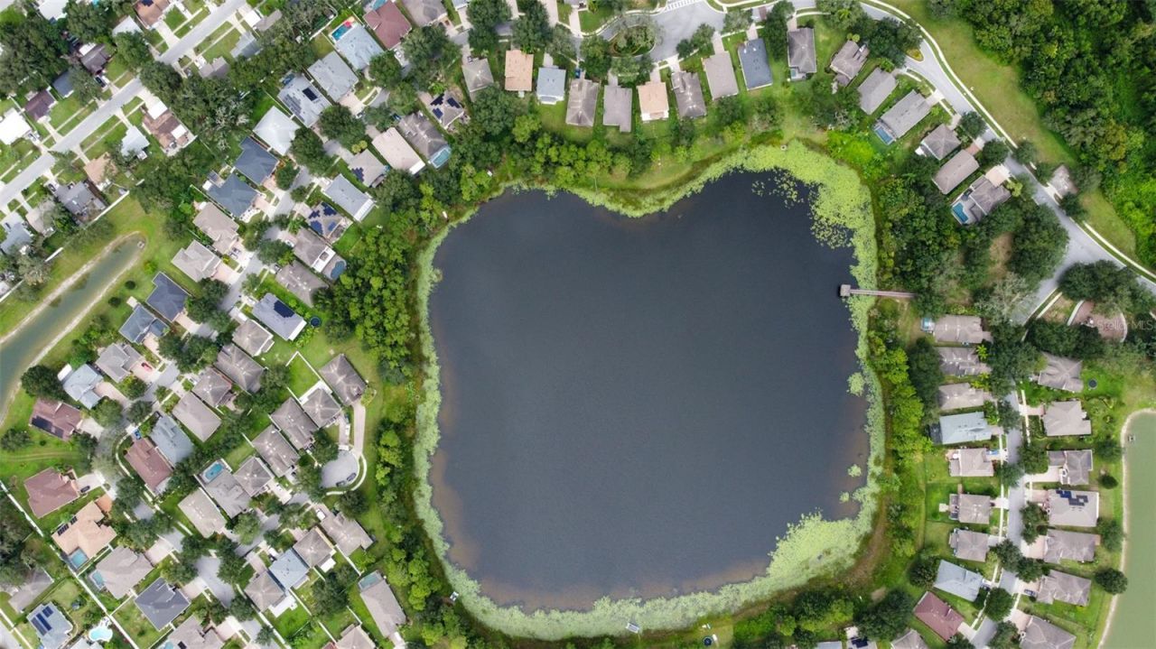 3341 Lake Jean Drive, Orlando, FL 32817 Photo