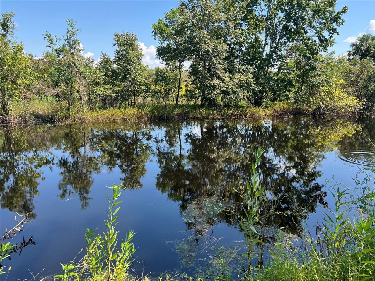 1498 Stone Trail, Enterprise, FL 32725 Photo