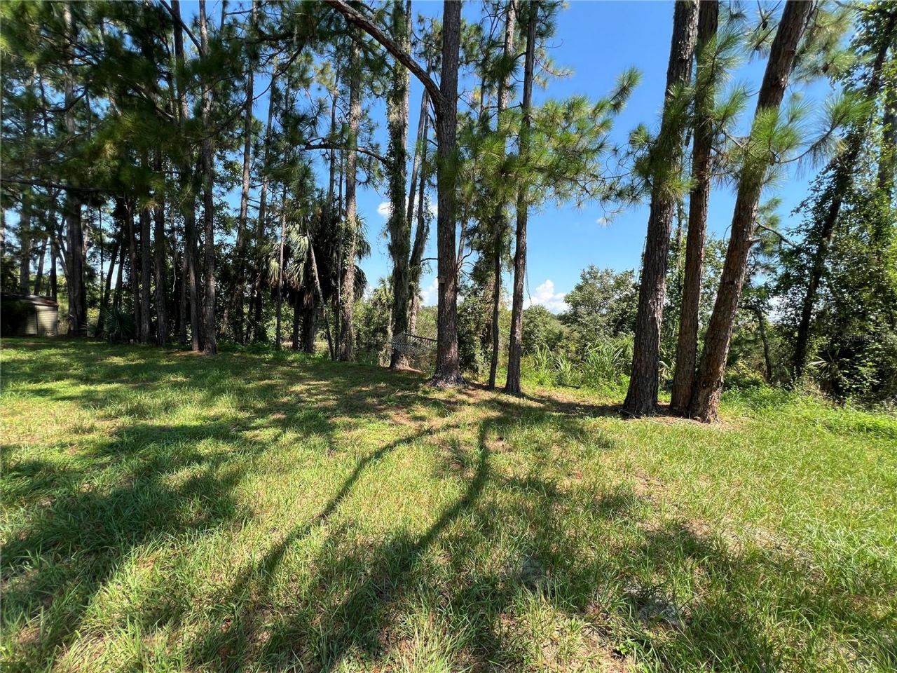 1498 Stone Trail, Enterprise, FL 32725 Photo