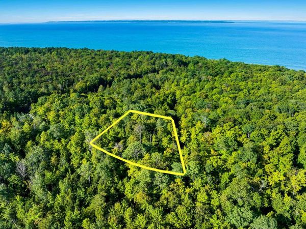 2 Aspen Trail, Kewadin, MI 49648