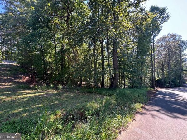 2.5 AC Mango Lane, Unit 732+ 733, Ellijay, GA 30540