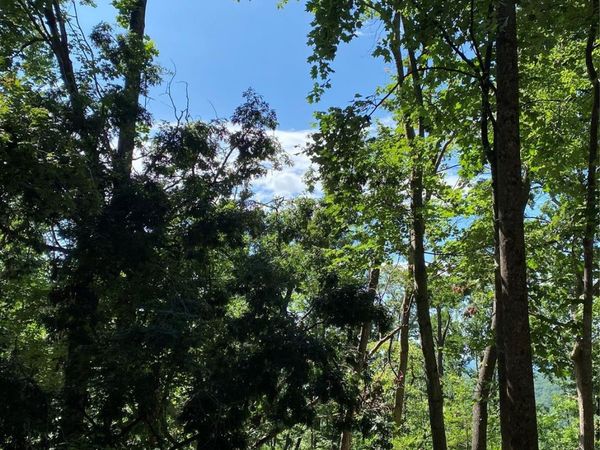 0 Winesap Boulevard, Lake Lure, NC 28746