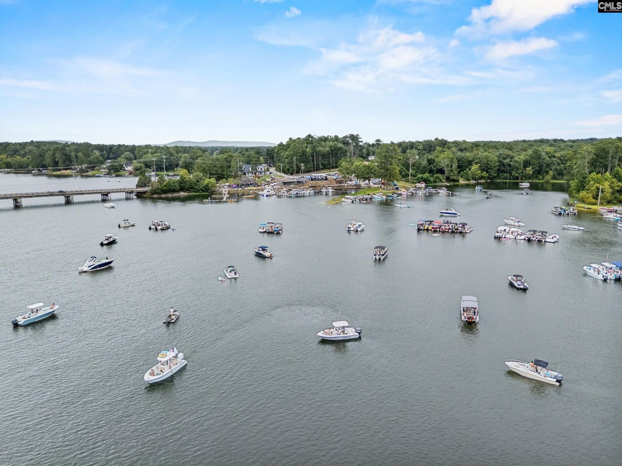 1701 Dreher Island Road Photo 13