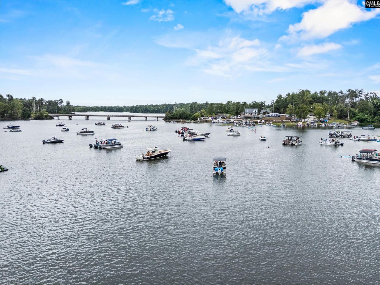 1701 Dreher Island Road Photo 17