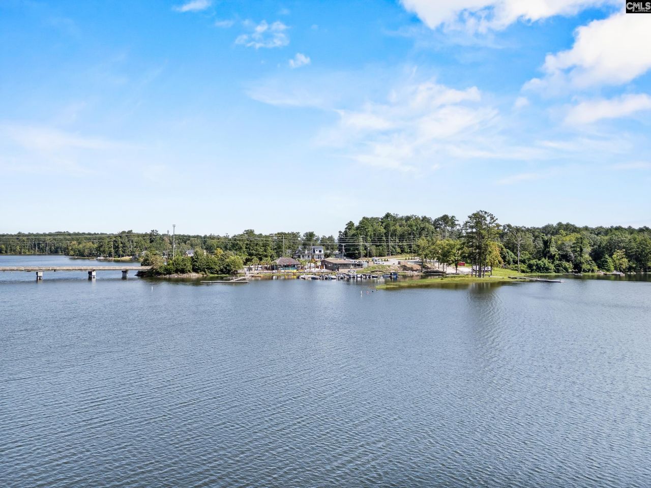 1701 Dreher Island Road Photo 25