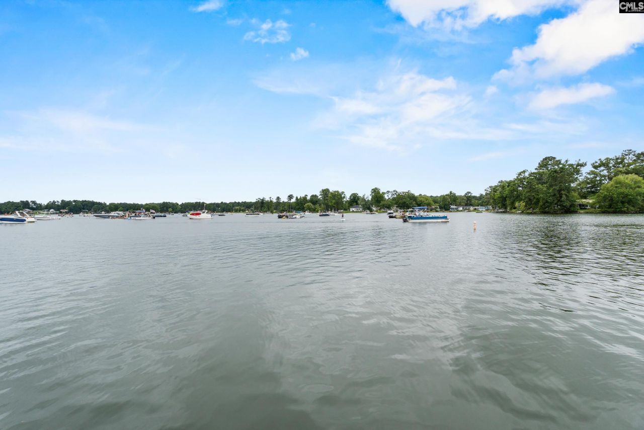 1701 Dreher Island Road Photo 30