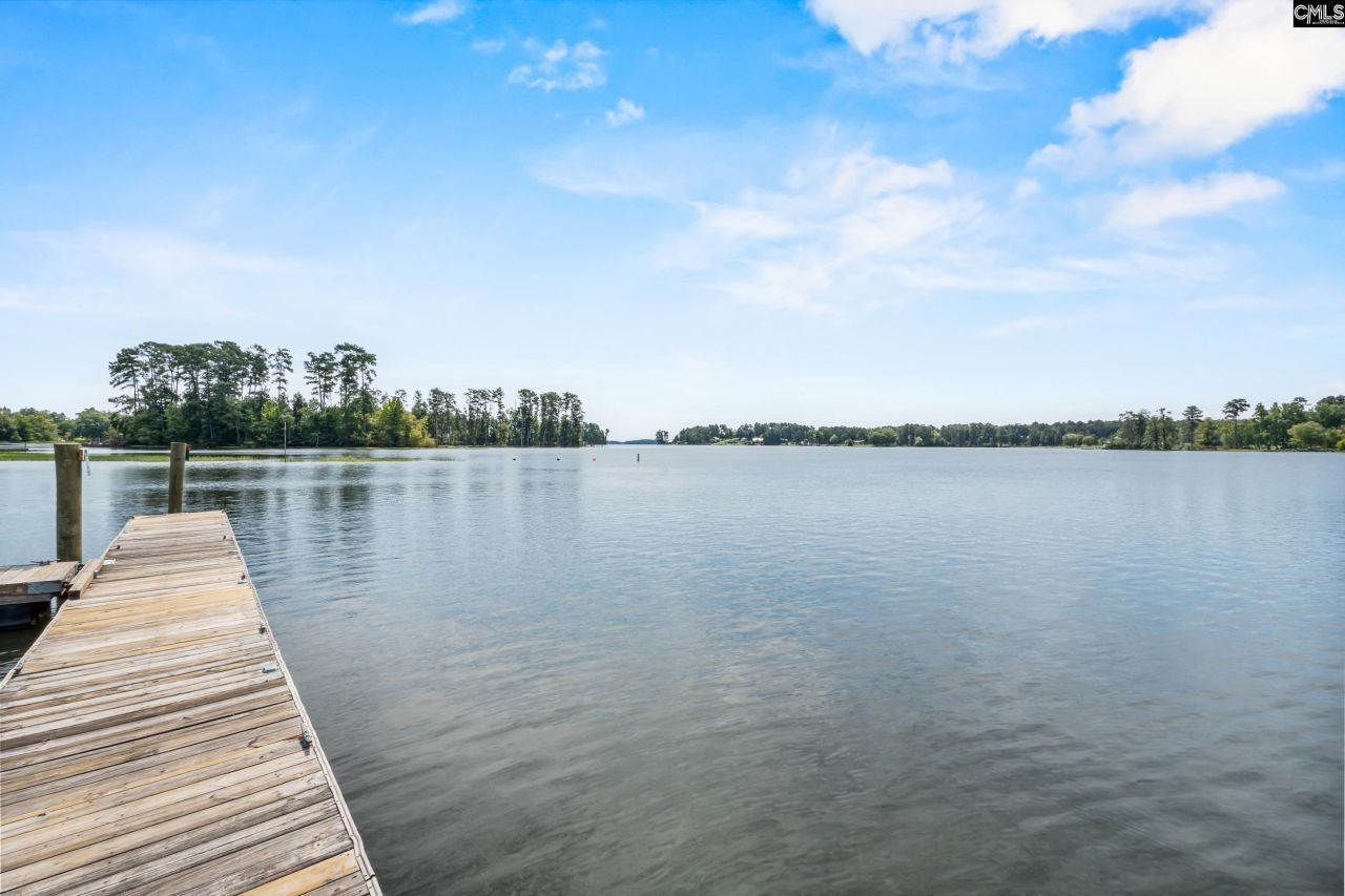 1701 Dreher Island Road Photo 47