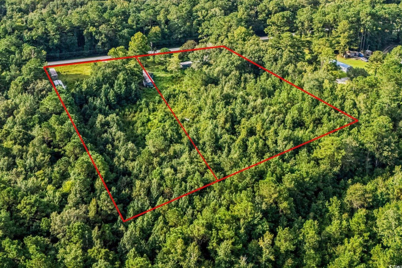 196 Old Wilson Rd. Photo 11