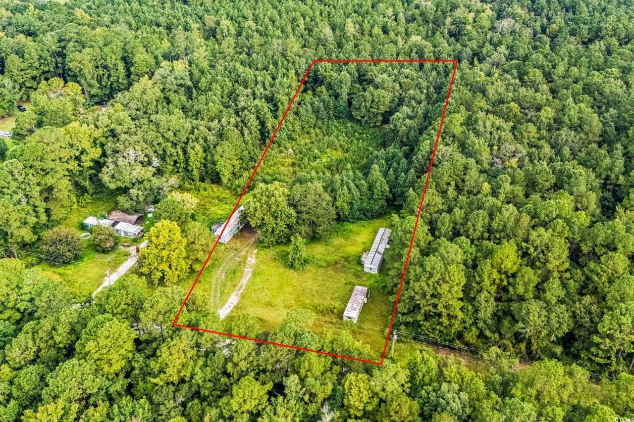 196 Old Wilson Rd. Photo 20