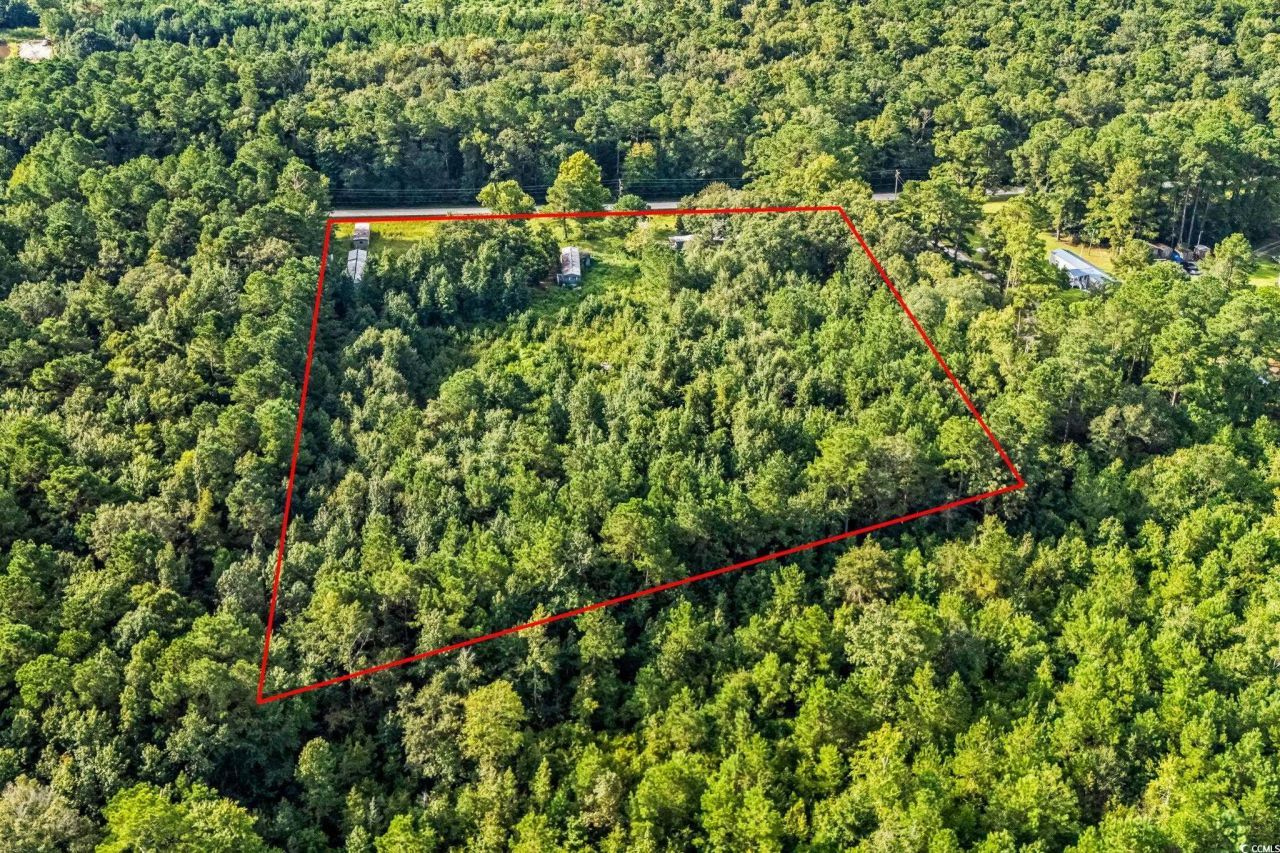 196 Old Wilson Rd. Photo 4