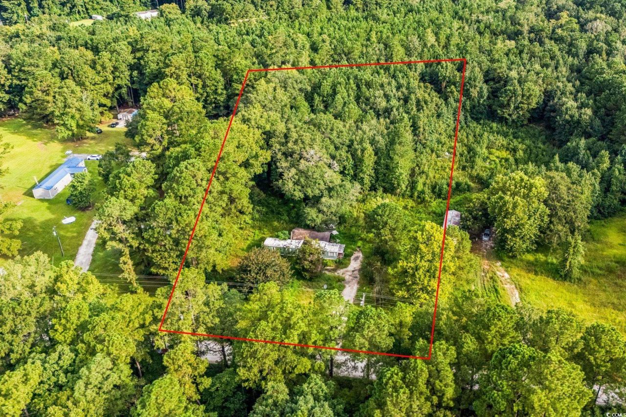 196 Old Wilson Rd. Photo 6