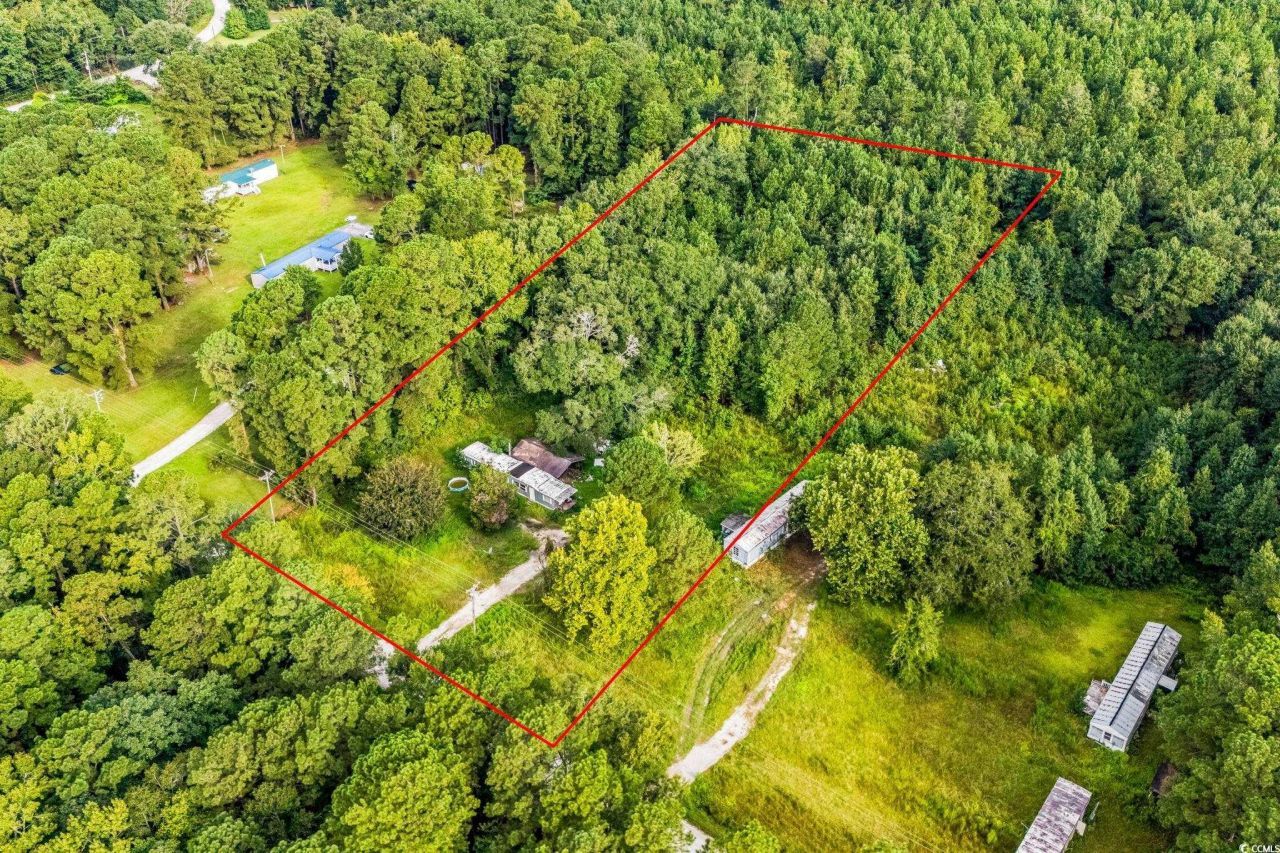 196 Old Wilson Rd. Photo 8