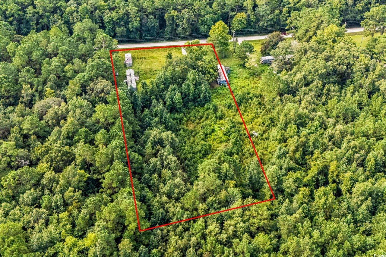 196 Old Wilson Rd. Photo 9
