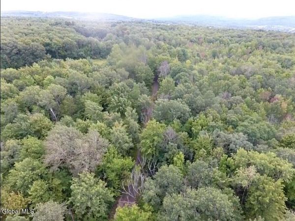 L1.2 Mcmillan Road, Duanesburg, NY 12137