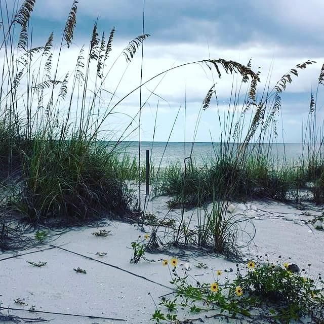 20 N Gulf Boulevard, Placida, FL 33946 Photo