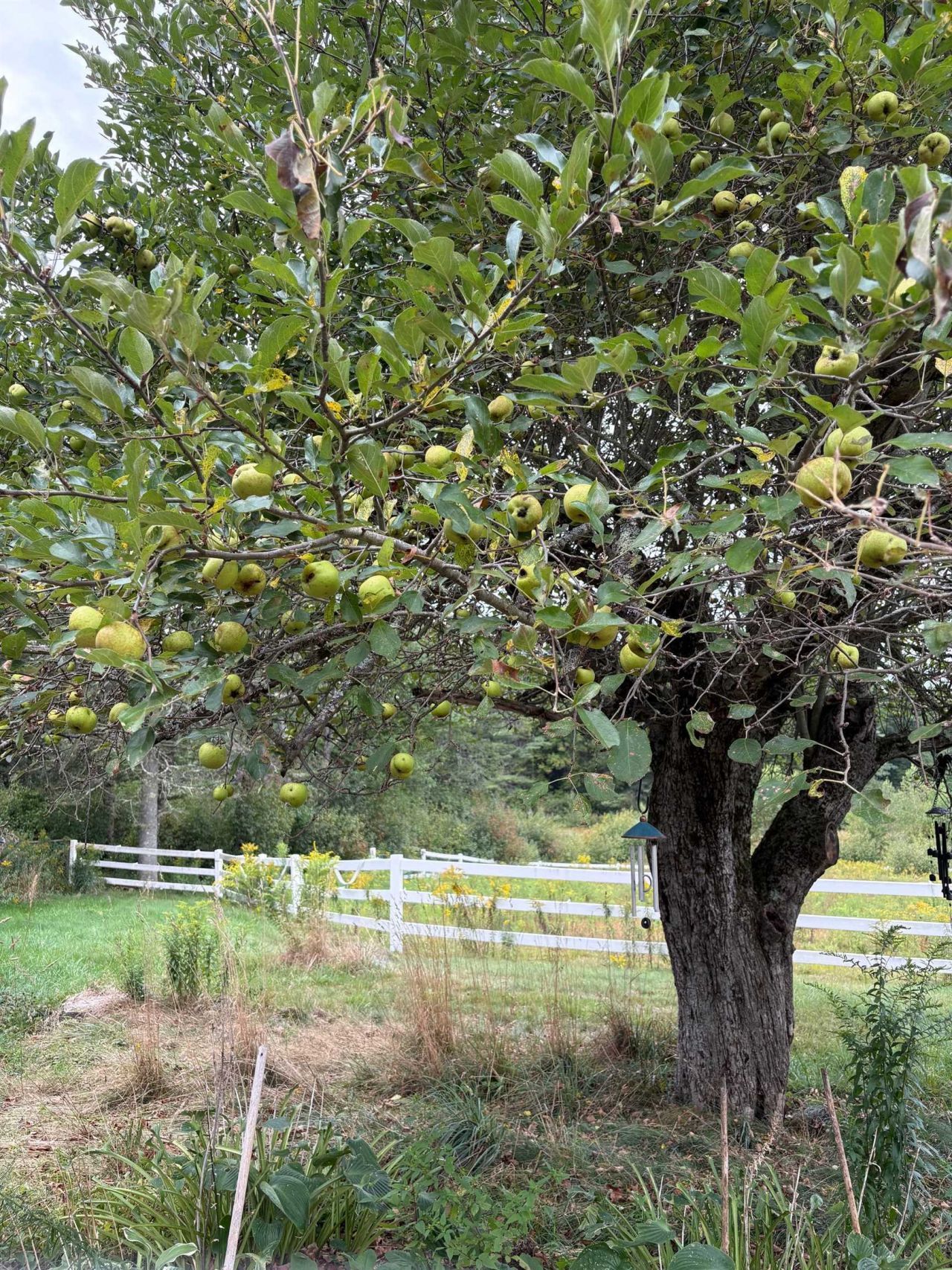 715 Gilmore Pond Road, Jaffrey, NH 03452 Main Photo