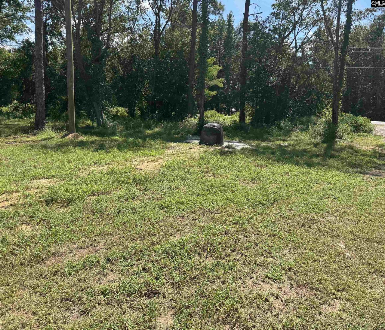 7527 Old Number Six Highway Photo 11