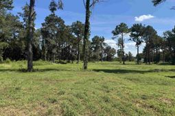 7527 Old Number Six Highway photo 4