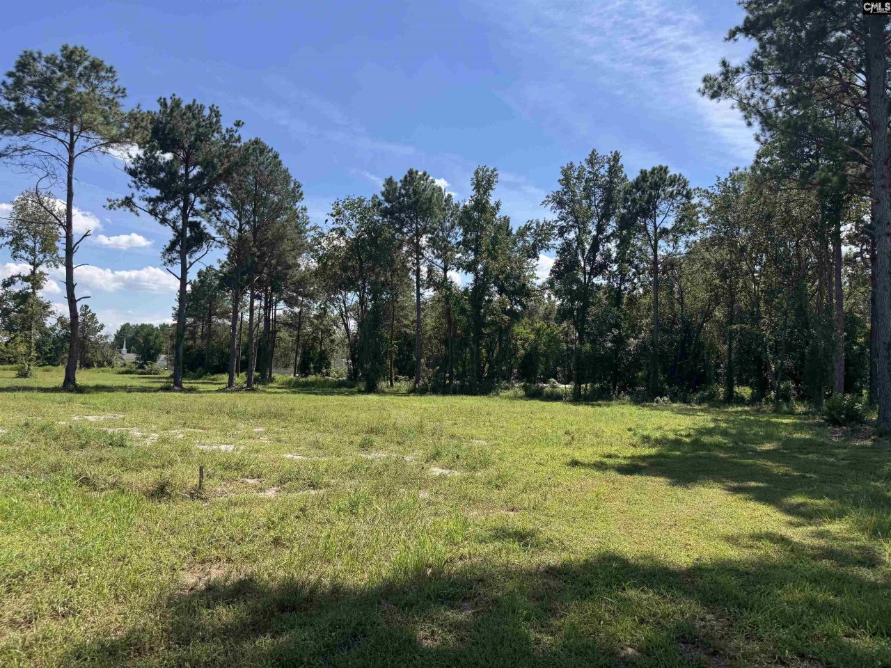 7527 Old Number Six Highway Photo 29