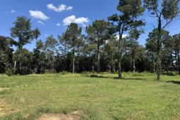 7527 Old Number Six Highway photo 4