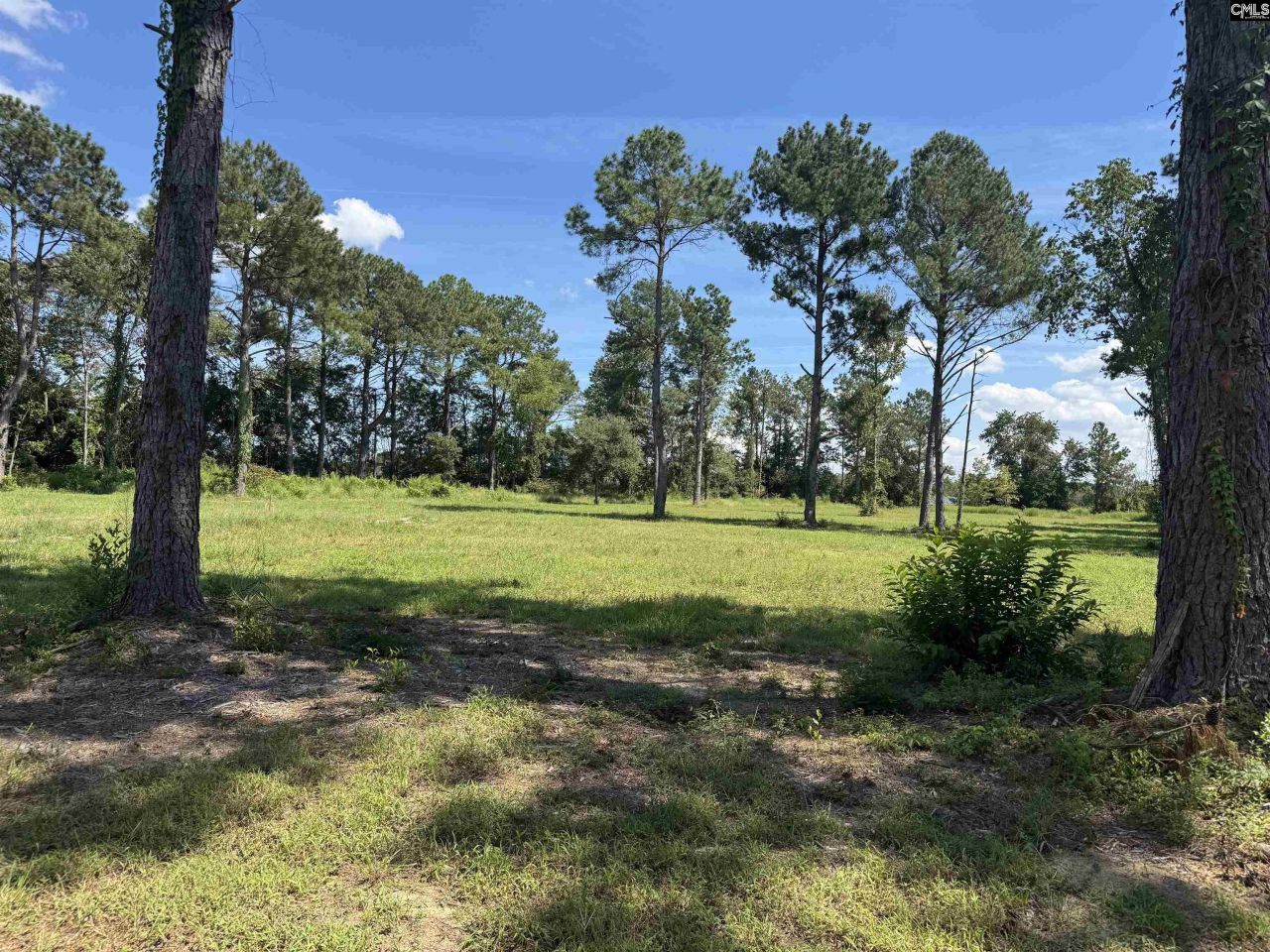 7527 Old Number Six Highway Photo 9