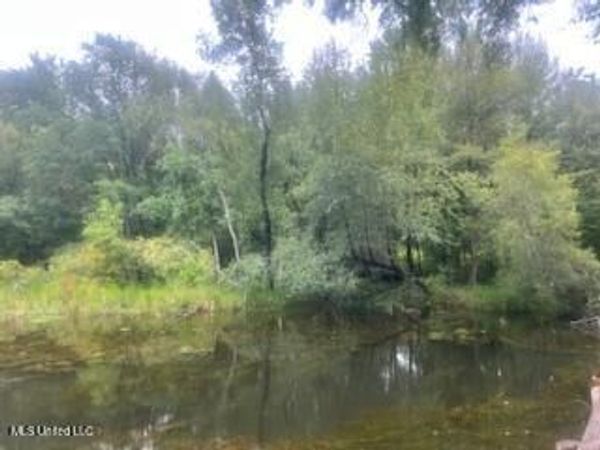 Rault Drive, Lumberton, MS 39455