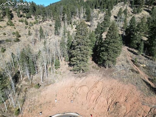1380 blue Haven Place, Woodland Park, CO 80863