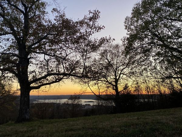 Tbd Emerald Crest -47 Acres , Hollister, MO 65672