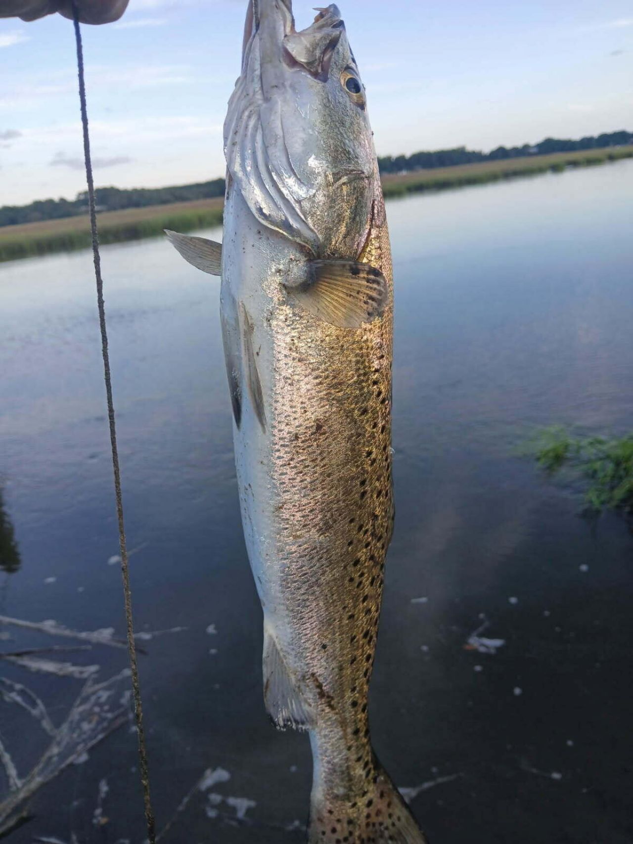 3246 Jenkins Farm Road Photo 38