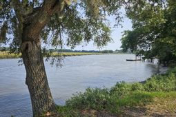 3246 Jenkins Farm Road photo 4