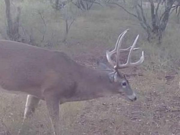 1400 Hammond Road, Quanah, TX 79252